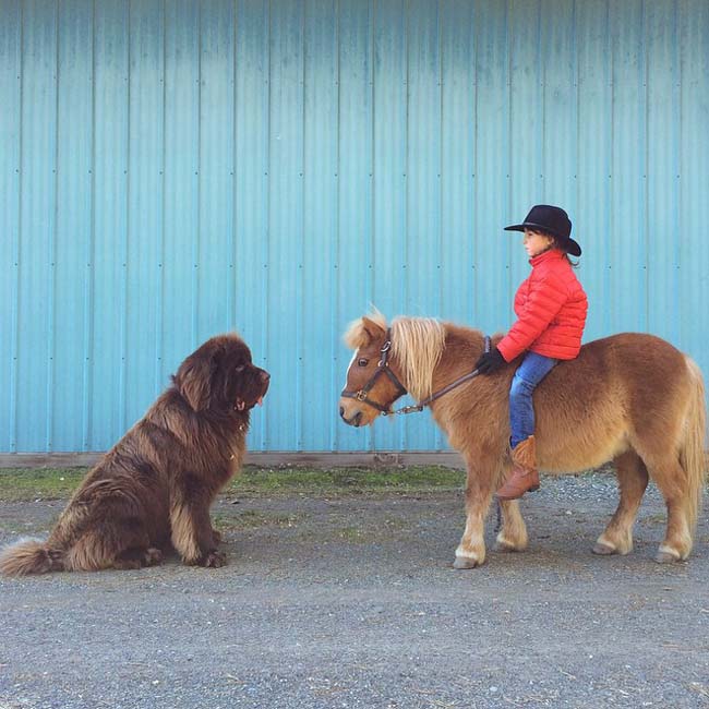 美国妈妈拍照记录儿子与宠物狗小马一起成长温馨瞬间