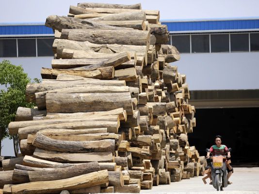外媒：中国人对高档家具的需求正在破坏世界森林