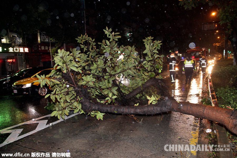 台风“苏迪勒”登陆台湾花莲 致3死28伤1失踪