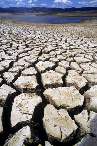 美气候专家：2015年厄尔尼诺或跻身记录史上最强之列