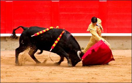 奔牛节已致10人死亡 西班牙人为何如此钟情斗牛？