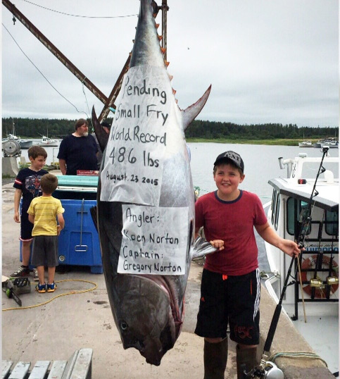 加拿大男孩钓得220公斤金枪鱼 或创世界纪录