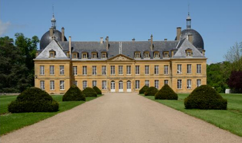 法国迪戈因城堡将拍卖其珍贵历史藏品