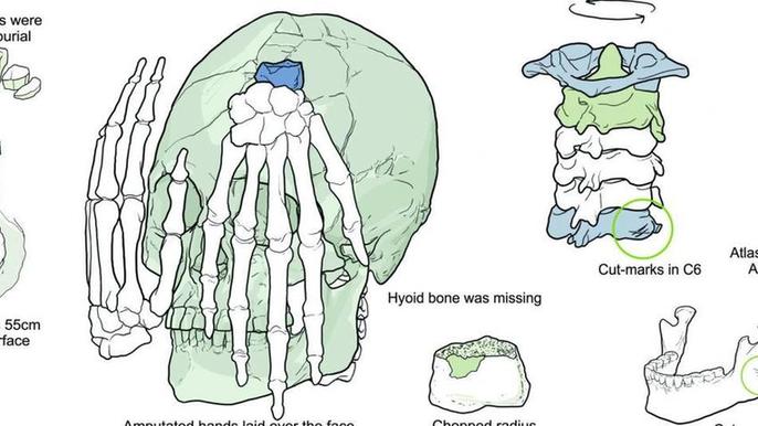 科学家在南美洲发现9000年前的斩首颅骨