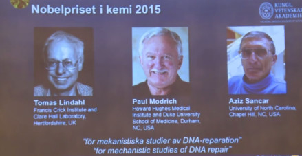 三位科学家获2015年诺贝尔化学奖