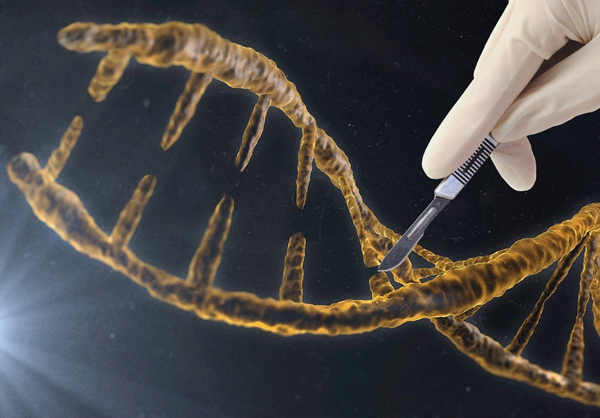 2015年基因编辑技术重大成果：首次修改人类胚胎基因