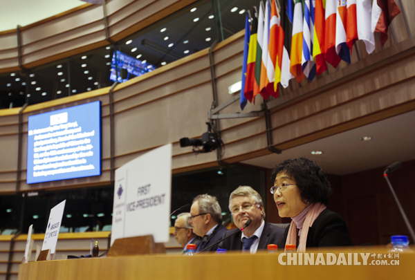 杨燕怡大使：2015年中国对欧外交“全面推进、可圈可点”