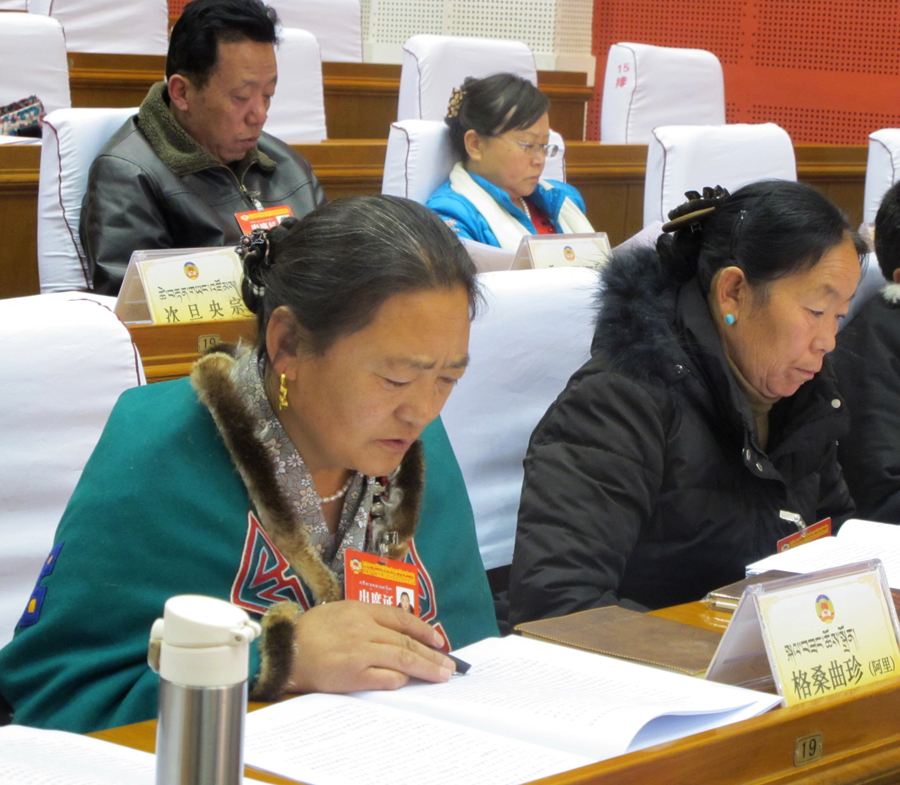 政协第十届西藏自治区委员会第四次会议开幕