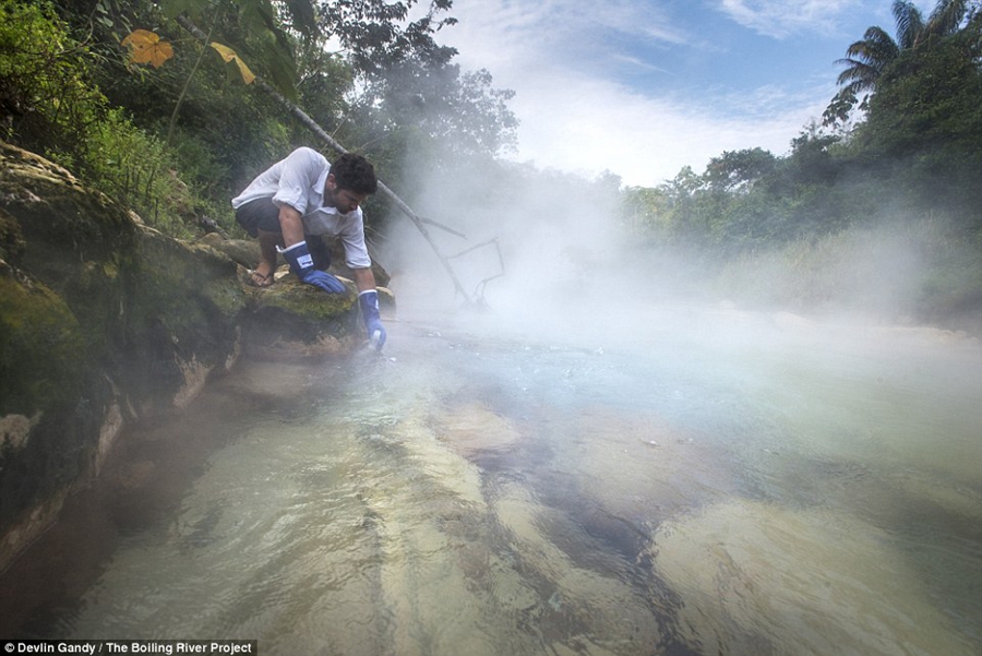 亚马逊丛林惊现神秘沸腾河 上演沸水煮青蛙