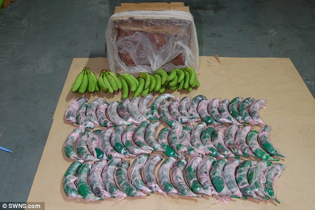 水果商用假香蕉藏2400万英镑毒品 “藏宝图”协助定位