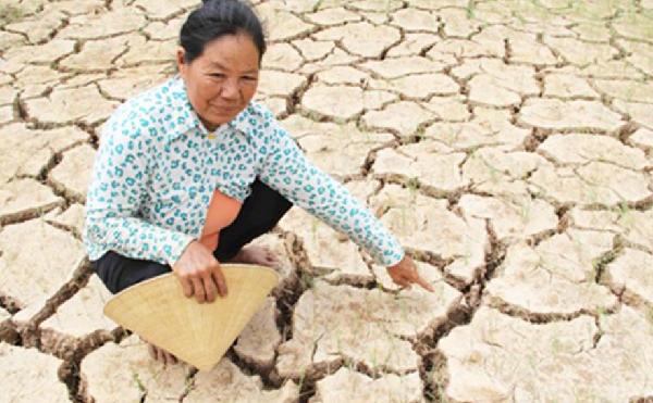中国景洪水库注入湄公河的水已抵达越南西部各省 百姓开始播撒夏秋稻种
