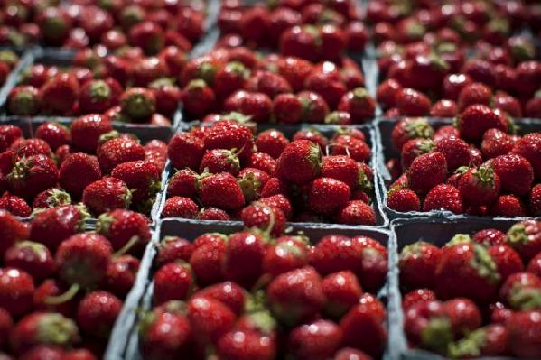 美国农药残留最严重农产品名单出炉 草莓居首位