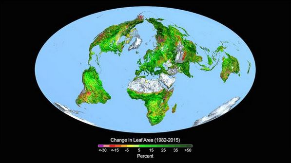 最新研究：二氧化碳让地球变得更绿
