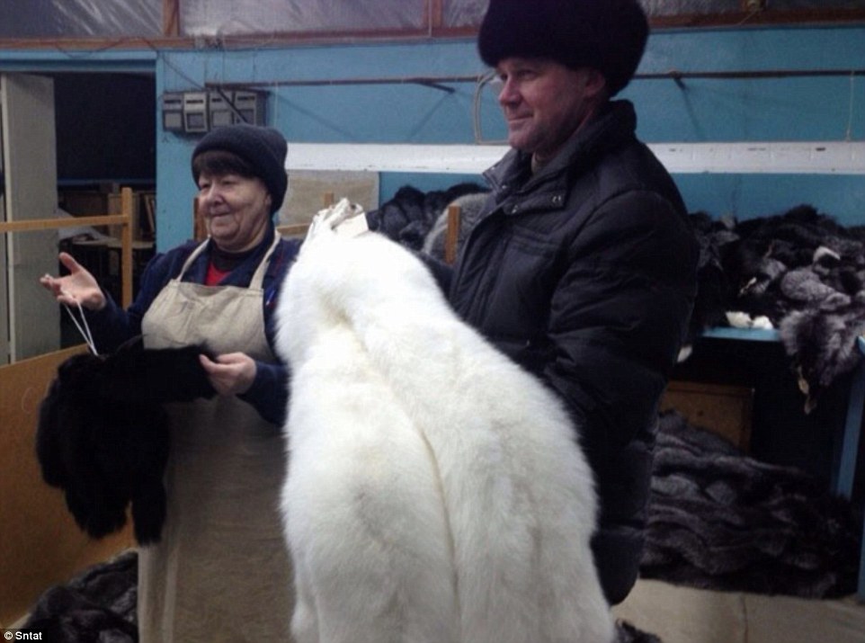 俄罗斯非法皮毛工厂 动物尸体堆积如山