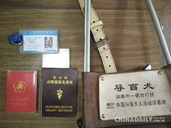 平亚丽：从中国首位残奥会冠军到盲人按摩院老板的生死转型记