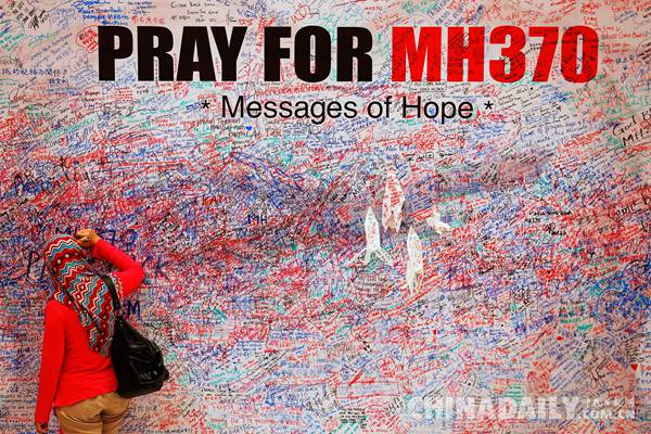 空难调查专家：MH370坠海前或受操控滑入水中