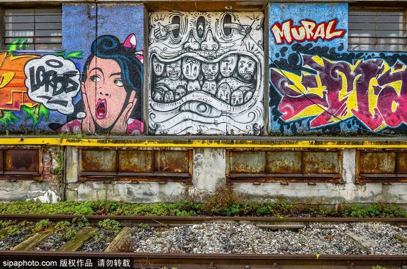 多瑙河港口变壁画港 巨幅涂鸦色彩缤纷