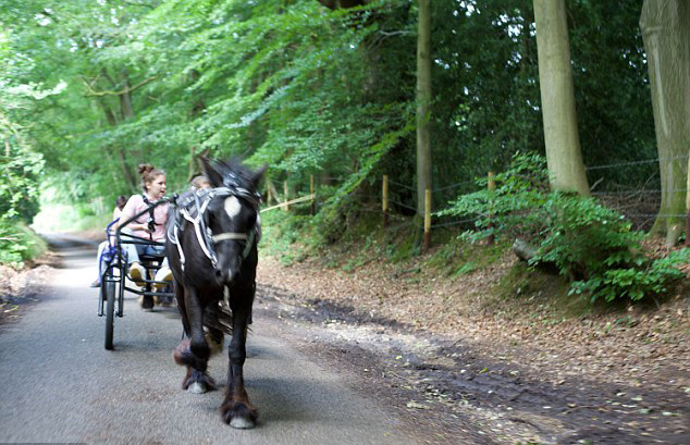 英纪录片讲述吉普塞儿童生活：女孩11岁辍学当“主妇”