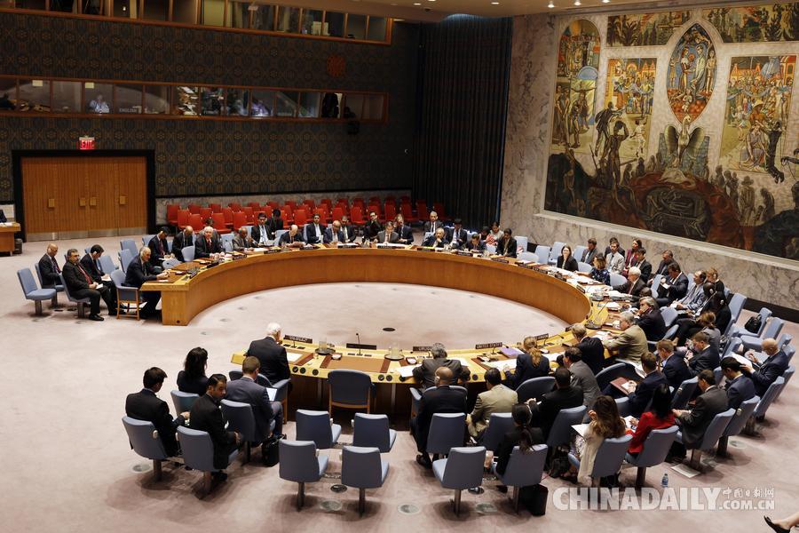 联合国安理会就叙利亚局势举行紧急会议