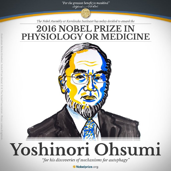 日本科学家大隅良典获得2016年诺贝尔生理学或医学奖