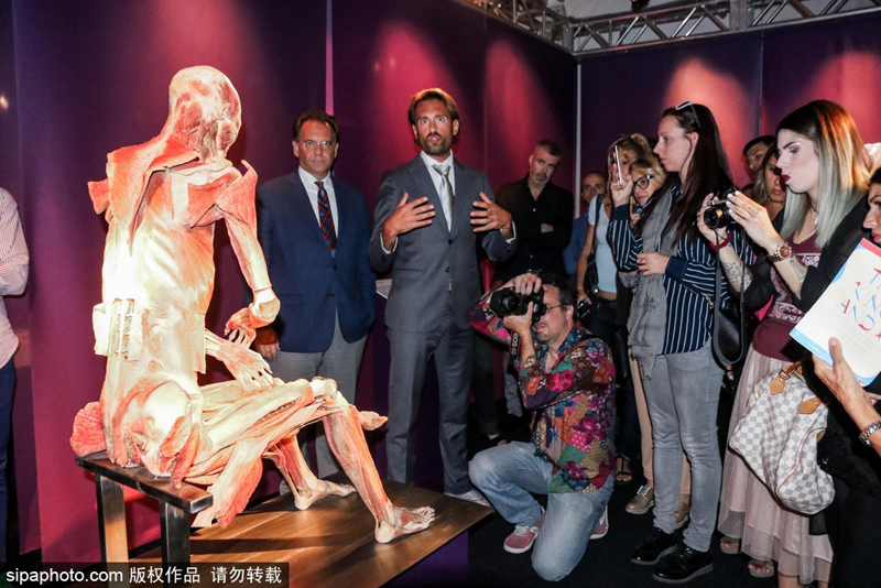 罗马“人体世界”塑化尸体展：惊悚震撼