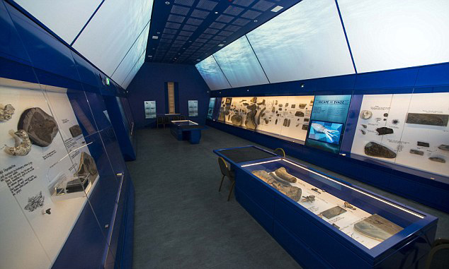 英男子收藏2500件化石标本 被迫转入博物馆展览