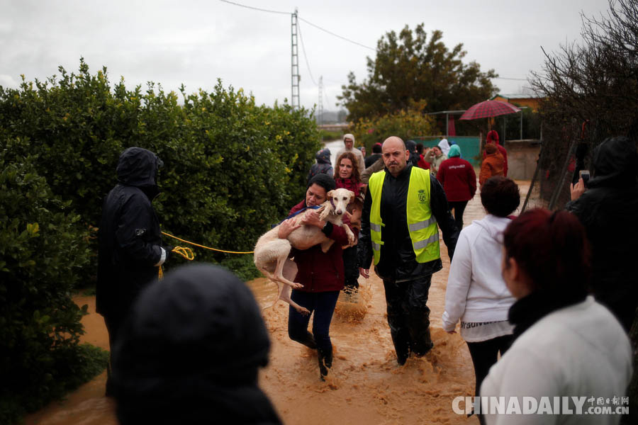 西班牙暴雨引发洪水 居民“抱狗”疏散