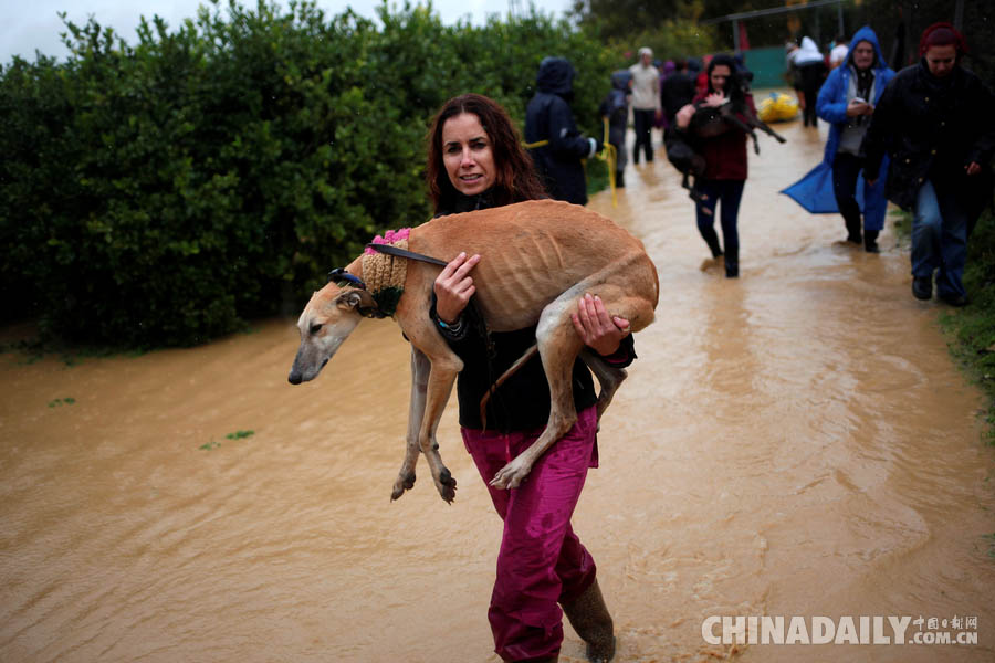 西班牙暴雨引发洪水 居民“抱狗”疏散