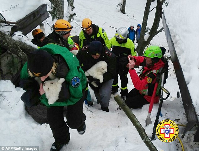 3只小奶狗在意大利雪崩中幸存下来