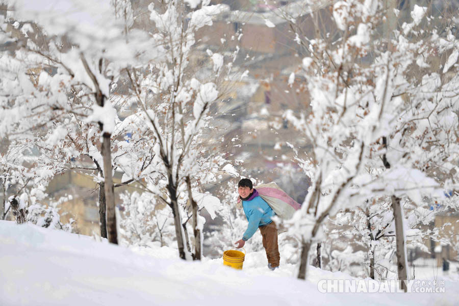阿富汗遭遇极寒天气 至少42人死亡