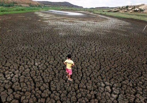 干旱巴西：土地龟裂畜尸满地 居民焦虑盼水来(图)