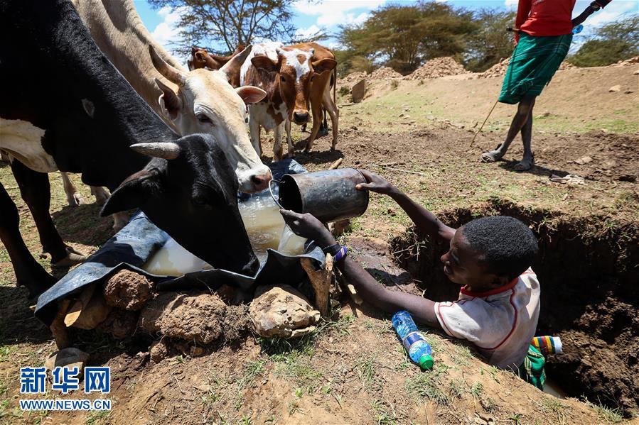 肯尼亚遭遇严重干旱(组图)