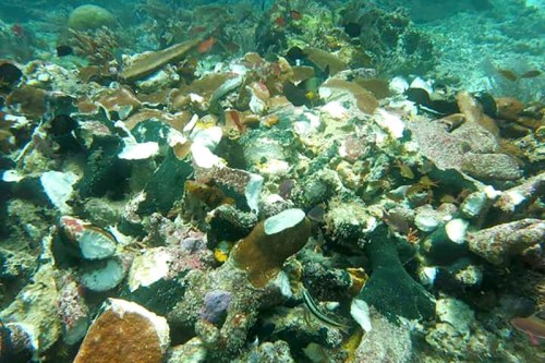 英国邮轮搁浅致数百人被困 损毁印尼原始珊瑚礁