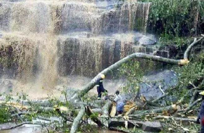 加纳瀑布景点大树遭雷击倒塌 致游客至少20死11伤