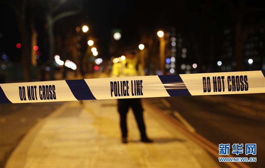 英国议会大厦附近发生恐怖袭击事件致5人死亡（组图）