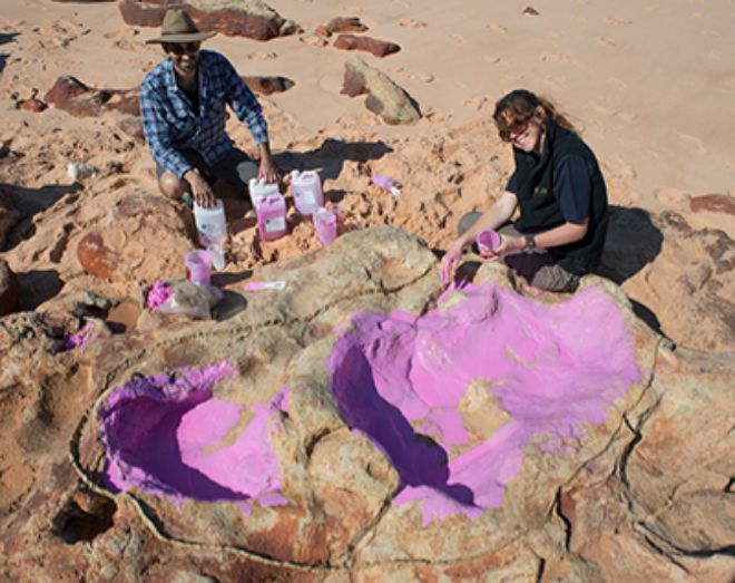 澳大利亚发现最大恐龙脚印化石 长1.7米(组图)
