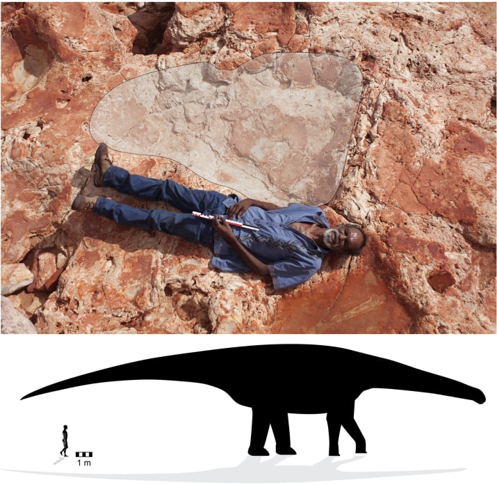 澳大利亚发现世界最大恐龙脚印 脚印里能躺人