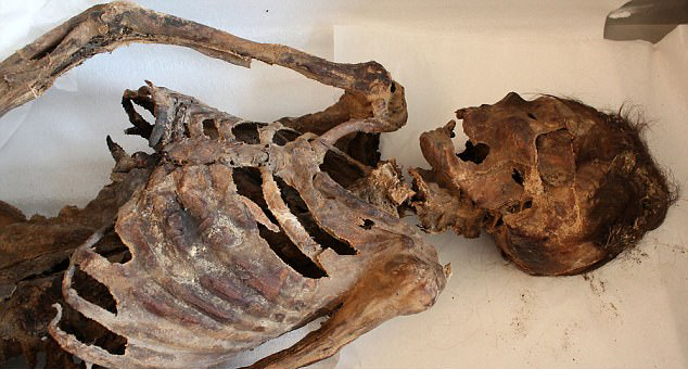 蒙古千年女尸脚穿”阿迪“引轰动 死因或为头部重伤(组图)