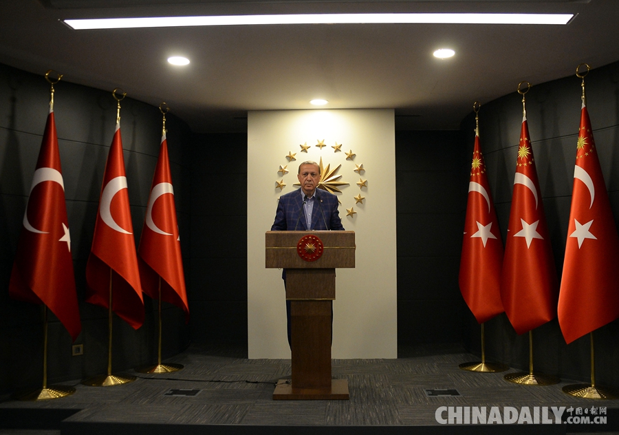 土耳其总统宣布修宪草案在全民公投中通过