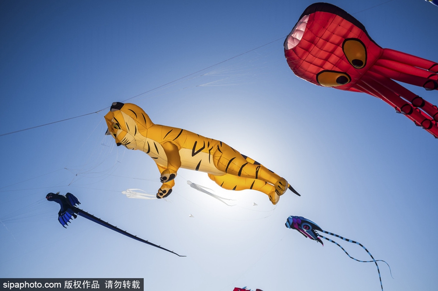 阿德莱德国际风筝节 童趣风筝点亮天空