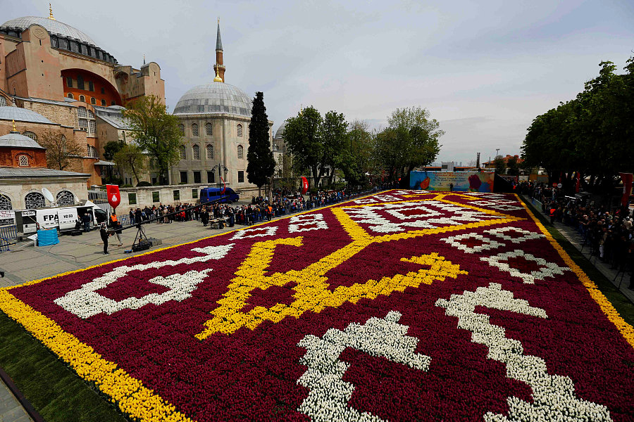 土耳其迎第十二届郁金香节 巨形“花毯”点亮伊斯坦布尔