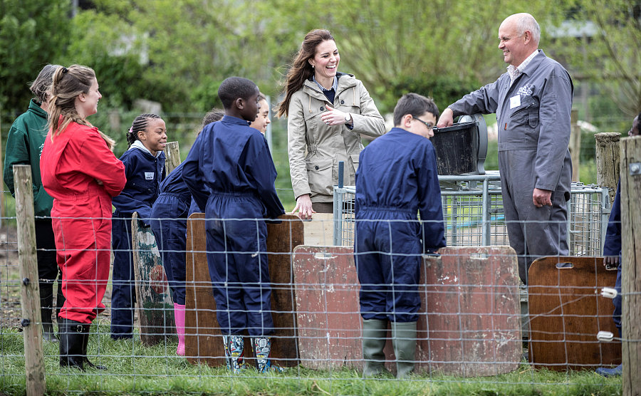 英国凯特王妃造访慈善农场 与小朋友同赶猪超接地气