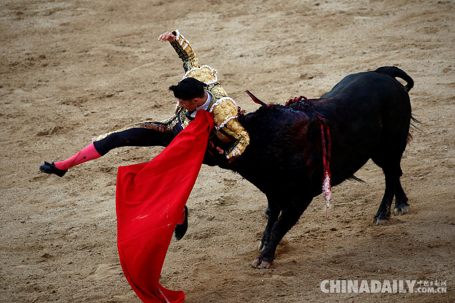 西班牙马德里举办斗牛集会 场面惊险看头十足