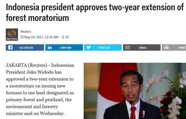 防范山火 印尼再次延长暂停开发森林禁令