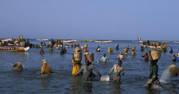7艘中国渔船涉嫌非法捕鱼 被塞内加尔军方扣押