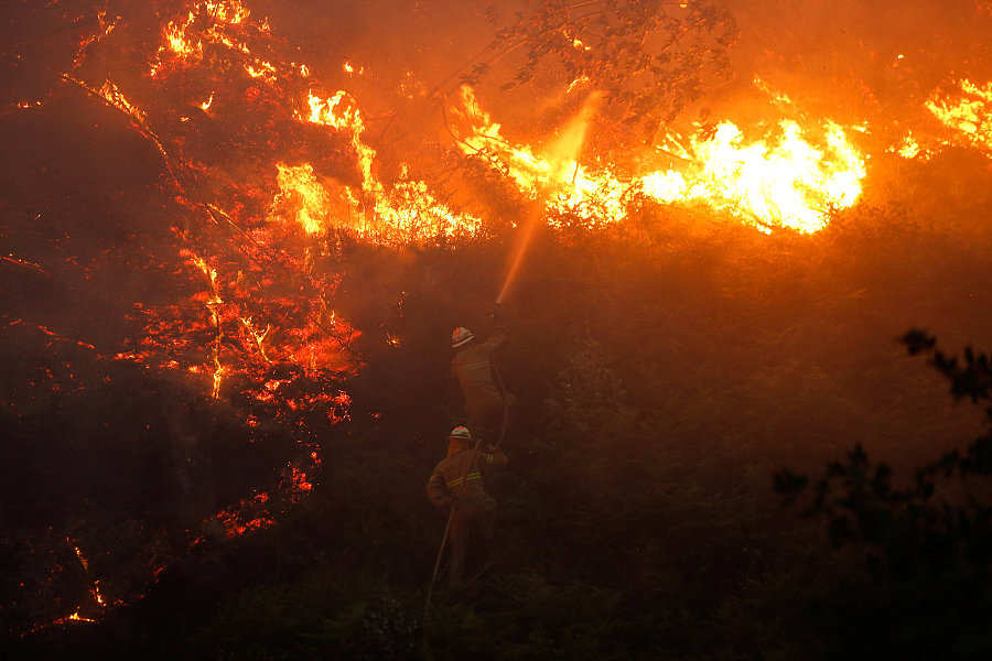 葡萄牙森林火灾死亡人数上升至61人[4]- 中国日报网