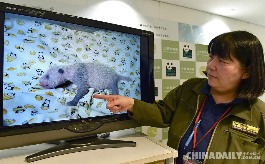 东京上野动物园公布熊猫宝宝性别：是个“女孩”！