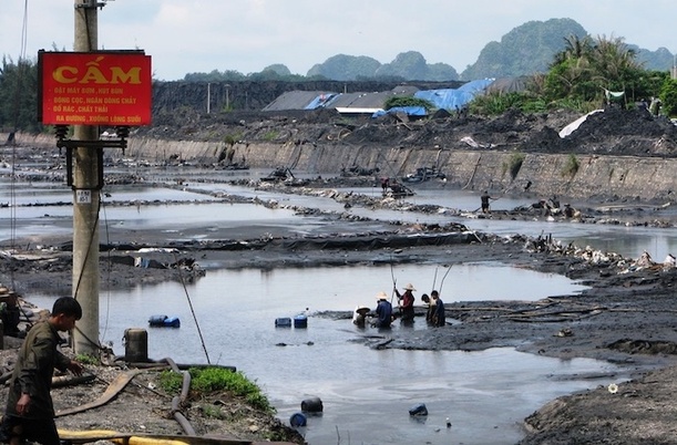 用生命赚钱！越南“捞煤族”污水河里“淘金”只为多赚几千美金