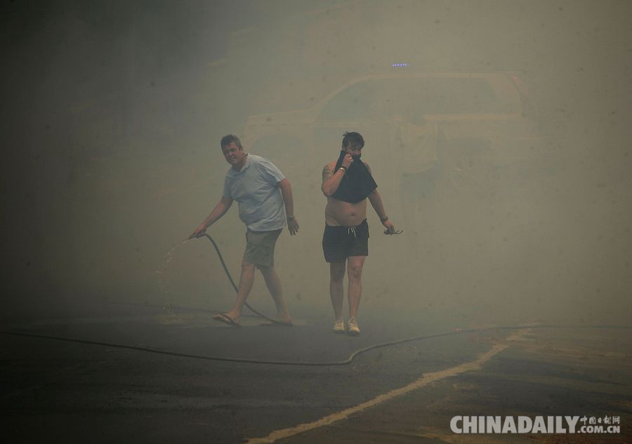 西班牙南部大火致1500多人撤离 不排除人为因素