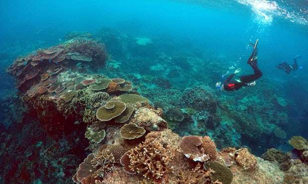 澳大利亚大堡礁估值560亿澳元 每年创造6.4万就业岗位